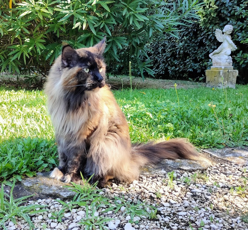 Louisana